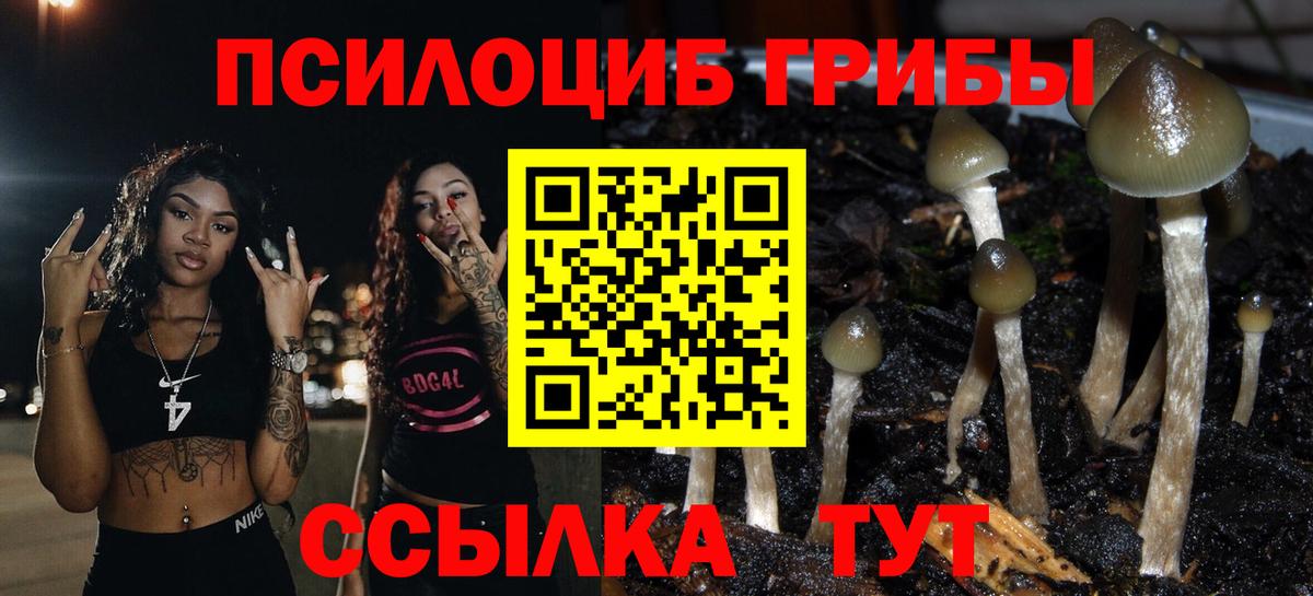 Галлюциногенные грибы прущие грибы  Вход с VPN  Сургут 