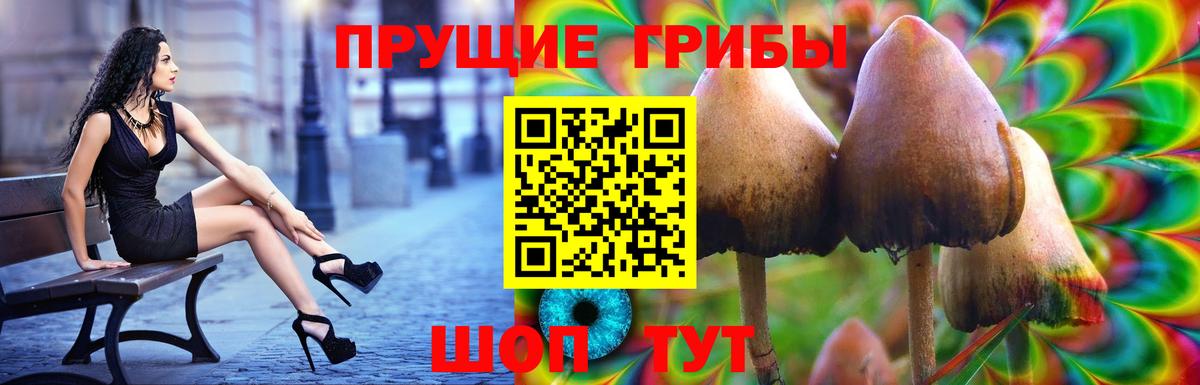 Псилоцибиновые грибы мухоморы Сургут